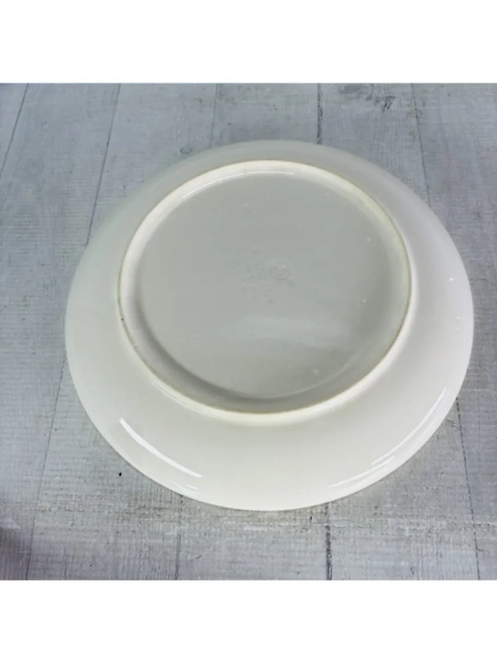 Pfaltzgraff JUNIPER Green Mauve Bands Stoneware 10